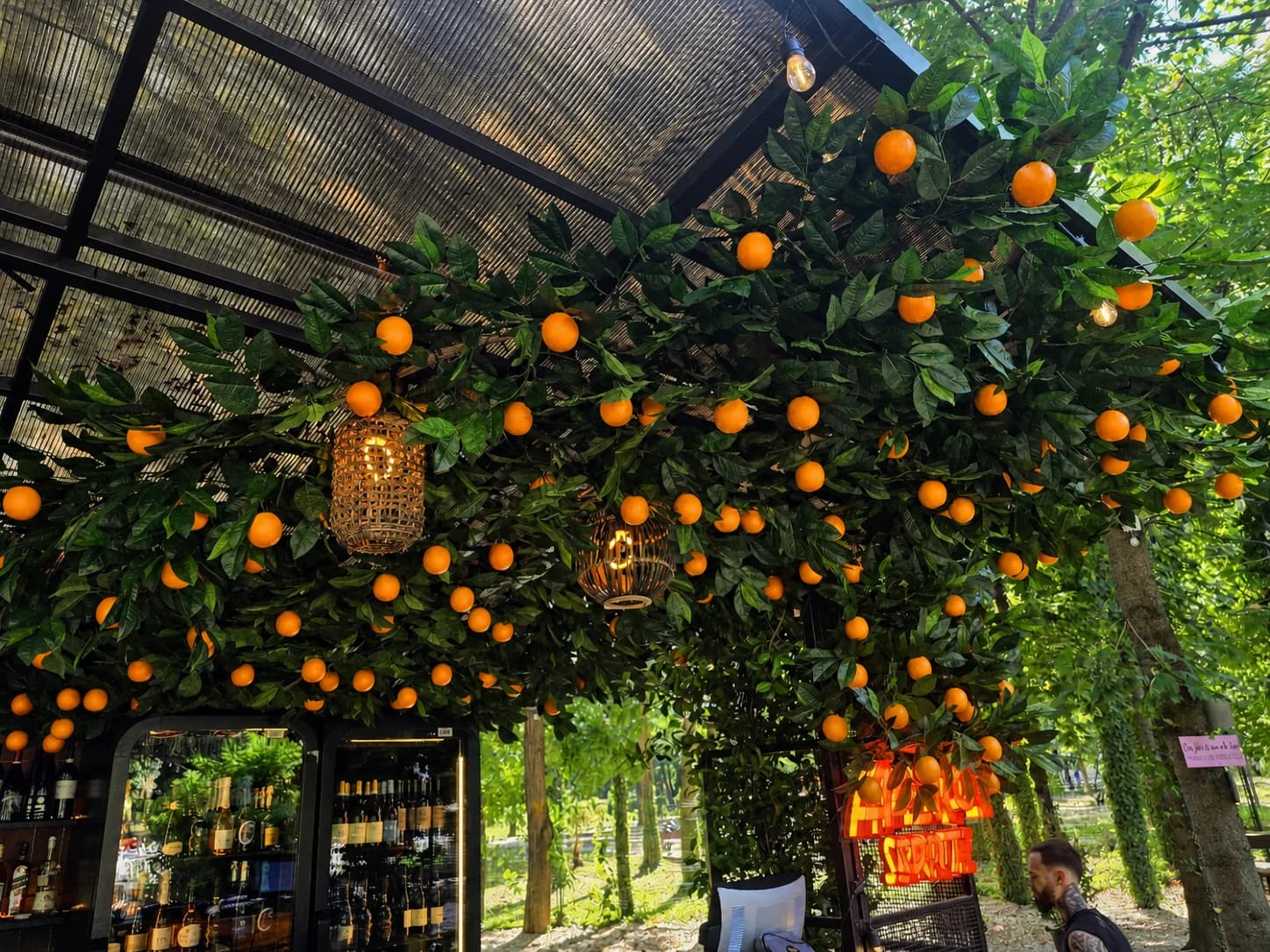 Perspectivă largă a decorului vegetal Blooming de la Juno Wine Garden Herăstrău