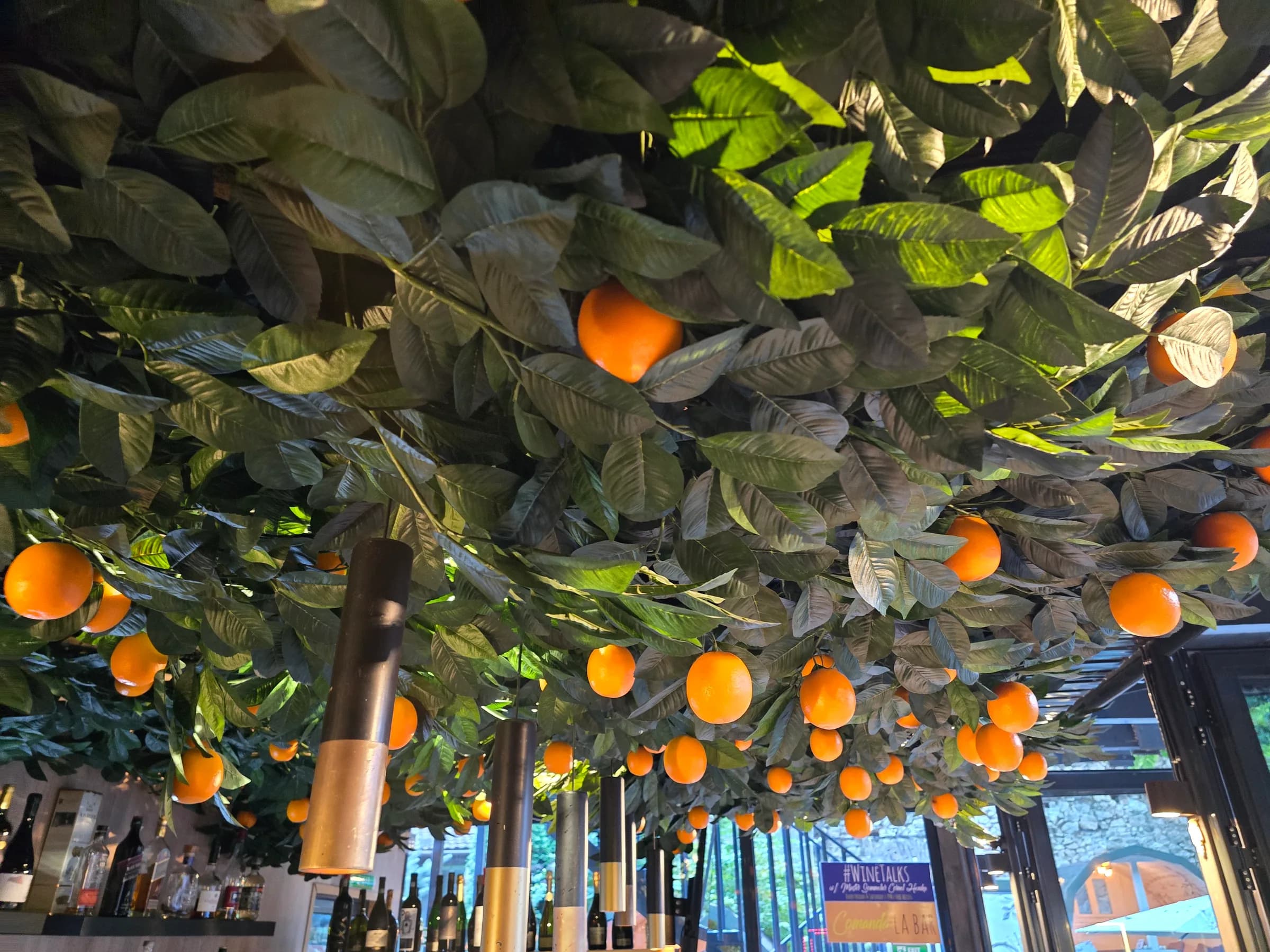 Boltă de frunziș și portocale decorative deasupra barului Juno Wine Garden Brașov